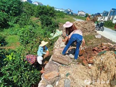 扮靓“风景线”，护航“马拉松”