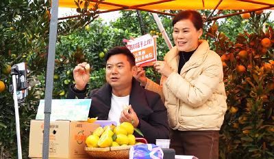 10月21日，红花套镇9村合力推介“宜都蜜柑”