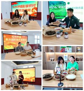 松木坪镇青年干部助农直播大赛开赛