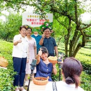 即将开赛！王家畈镇首届助农直播大赛等你来~