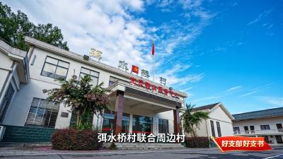 【好支部 好支书】五眼泉镇弭水桥村党总支：弭水桥村的“磁铁”密码