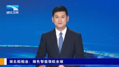 湖北卫视《湖北新闻》报道宜都绿色智能船舶产业园