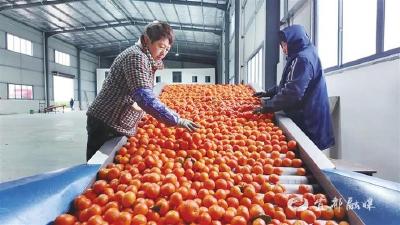 【三峡日报】我市多措并举为柑橘找“婆家”