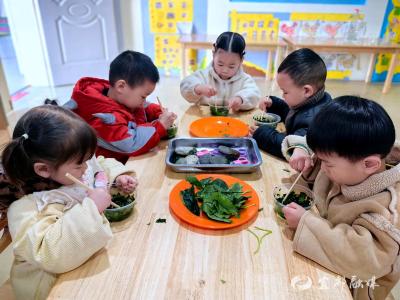 萌娃解锁叶绿素小秘密