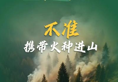 宜昌进入森林重点防火期