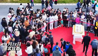 万人游园 人气爆棚！11月22日，三峡长颈鹿乐园周年庆再迎客流高峰