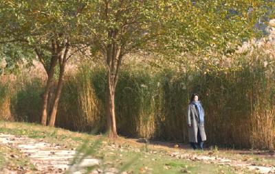 风有了形状，是荻花摇曳的诗行。穿行在宜都三江城市公园的荻海深处，镜头温柔地追随着她的身影。每一次回眸，仿佛点亮了整个冬日的午后。没有宏大的叙事，只有光影、飞絮和一颗被温柔填满的心