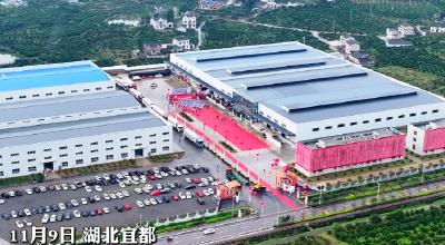 我们的“十四五”丨三峡柑橘交易中心品冠农业正式启动！300吨宜都蜜柑启运出口欧亚7国