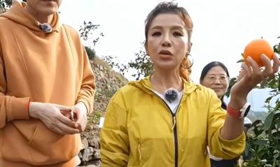 11月16日，央视导演孙滨、主持人朱迅在宜都清江湾旅游度假区现场直播，推介宜都柑橘系列产品