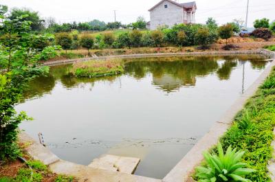 宜都部署水权及堰塘“三权分置”改革 锚定“十二字方针”求实效