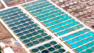 11月28日，《美丽宜都我的家》走进高坝洲镇天平山村，听驻村第一书记讲述与鲟鱼谷的故事