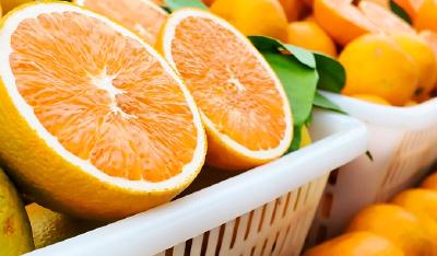 11月2日，高坝洲镇开展电商直播助农活动