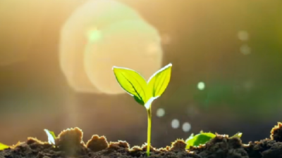 以育苗之心做好未成年人思想道德建设