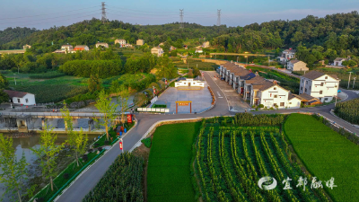 宜都“十四五”水利答卷：安澜惠民+生态焕新