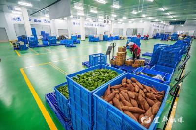 从“搬仓”到“智仓”！宜都大宗食材配送中心升级护航舌尖安全