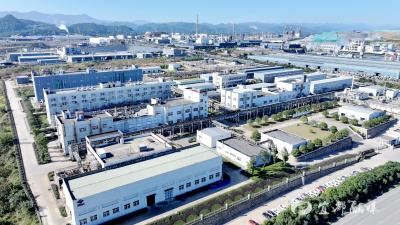 宜都：向“新”而行  跑出县域经济“加速度”