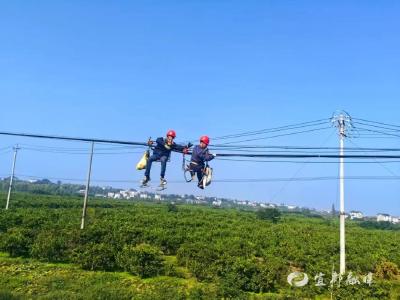 一张网、一张图、一条线，宜都巧解“空中蛛网”难题