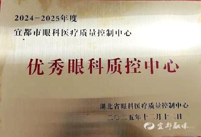 唯一殊荣！宜都眼科质控中心获评全省“优秀”