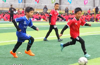 五育并举 活力校园！宜都少年全面发展正当时