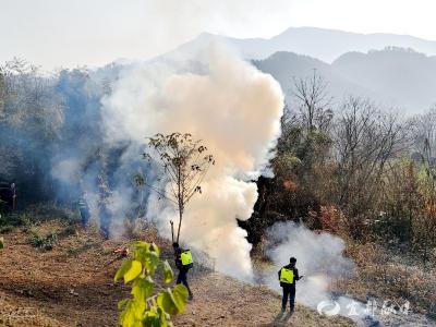森林防火无“脚本” 王家畈镇练真功