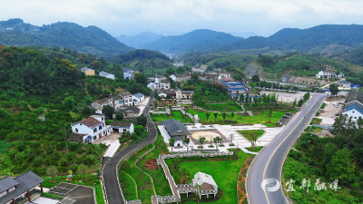 宜都南桥村：环境产业同升级，“老家底”盘出乡村振兴新活力！