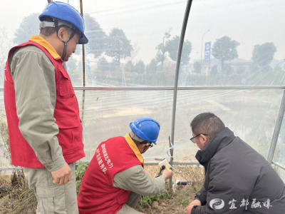 冬暖大棚“电”助力 守护果蔬好“丰”景