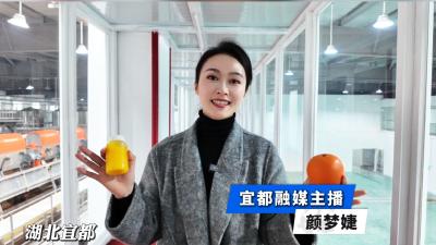 我们的“十四五”·项目故事 | 丰岛食品：构建完整柑橘产业生态，实现柑橘“吃干榨尽”