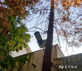 小巷“亮”出幸福感