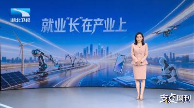 湖北卫视《支点周刊》报道宜都：就业“长”在产业上 | 支点观察 生长：家门口端上“金饭碗”