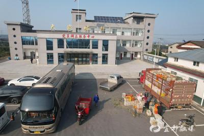 大战坡村最后一批脐橙找到“婆家”