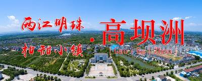 文明实践样板间 | 以文明为笔，高坝洲镇绘就乡村发展五幅新图景