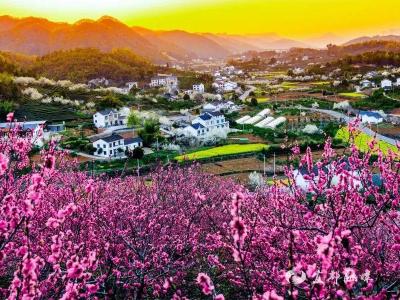 文明实践样板间 | 2025，枝城新时代文明实践藏在这些温暖瞬间里……