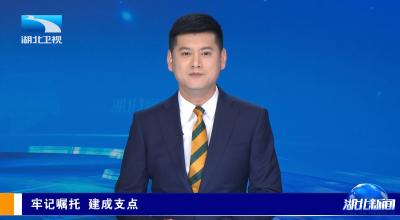 1月5日，湖北卫视《湖北新闻》报道宜都城市云眼系统