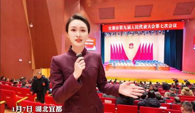 聚焦2026年宜都两会，宜都市第九届人民代表大会第七次会议开幕