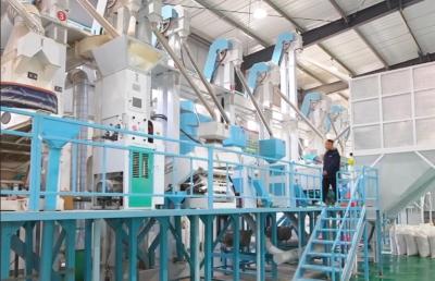 实干勇争先 奋进开门红丨松禾溢香粮油总产量力争突破1000吨