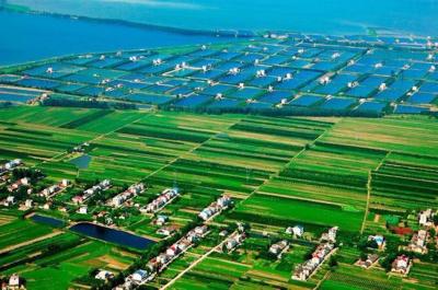 以“信”换“贷”，宜都1.54亿金融“活水”浇旺乡村产业