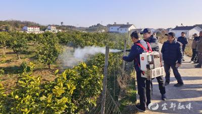 “科技甘霖”护橘香