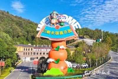 三峡长颈鹿乐园传来好消息……