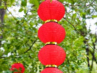 红红火火！宜都“盛装”迎新春