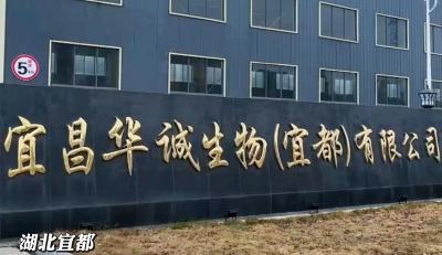 实干勇争先 奋进开门红丨华诚生物2026全年订单拉满产销两旺