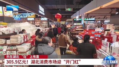 湖北卫视《湖北新闻》报道宜都新春消费市场活力满满