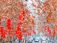 红红火火！宜都“盛装”迎新春