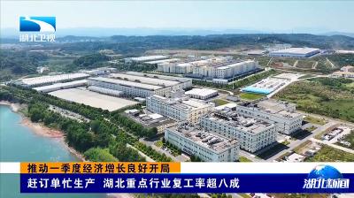 2月24日，湖北卫视《湖北新闻》报道宜都东阳光