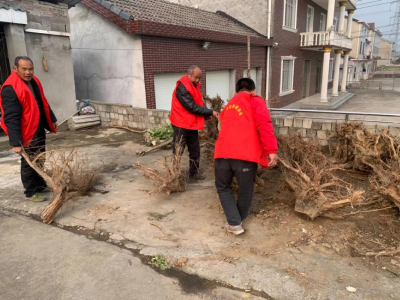 红马甲“上线”，村庄一键“美颜”