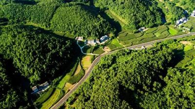 宜都林地报批实现“开门红”