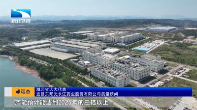 湖北卫视《湖北新闻》报道宜都东阳光