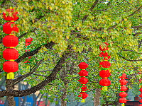 红红火火！宜都“盛装”迎新春