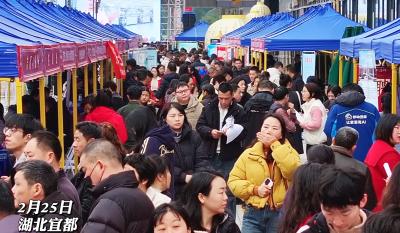 2月25日，宜都举行“春风行动·就业在宜都”大型招聘会