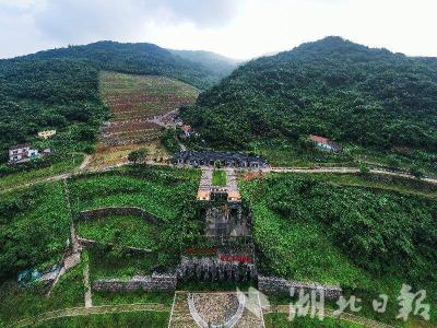 【湖北日报】湖北财政统筹推进生态保护与经济发展实现双赢