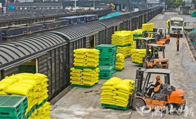 【湖北日报】聚焦春耕保供 焦柳铁路枝城站打通化肥运输“快车道”